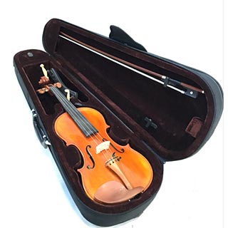 カルロジョルダーノ バイオリン